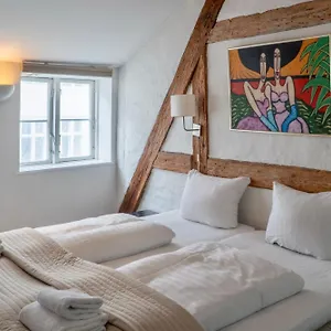 Brooklyn Penthouse Apartment